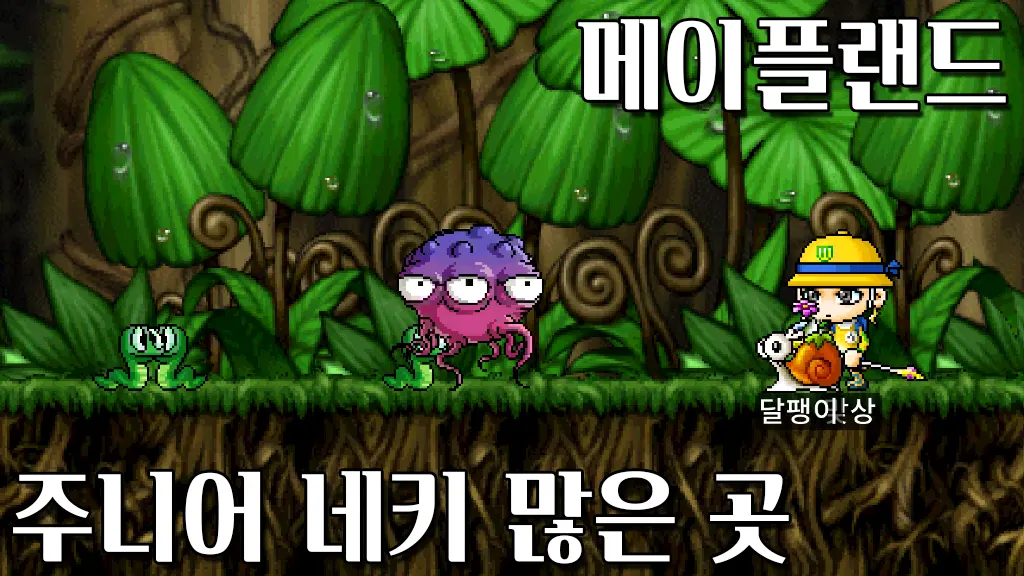 메이플랜드 주니어 네키 많은 곳