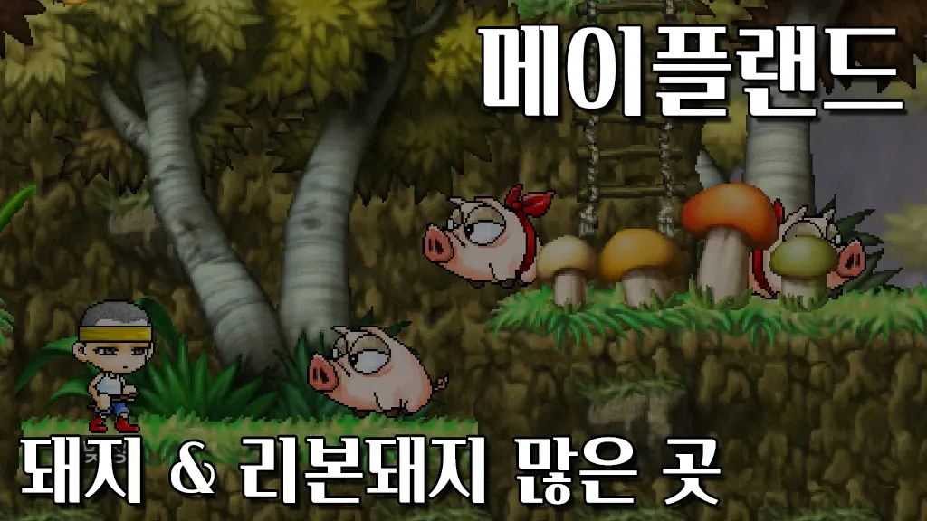 메이플랜드 돼지, 리본돼지 많은 곳